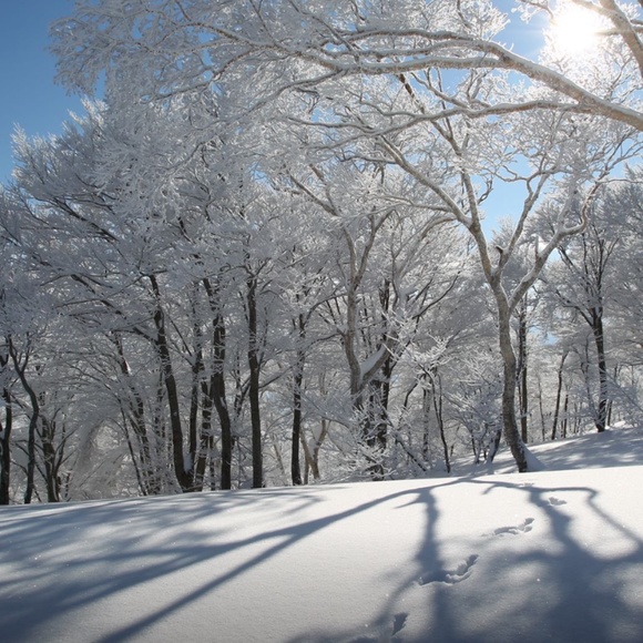 Meet your Posher, Audi - Picture 1 of 1